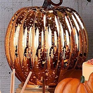 Pink Zebra Metallic Blown Glass Pumpkin Accent Shade
